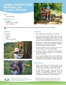 Image of the animal perspectives activity sheet
